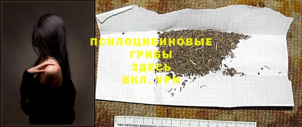 хмурый Пестово