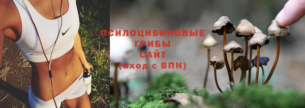 Альфа ПВП Пересвет