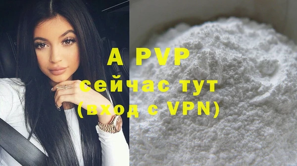 хмурый Пестово