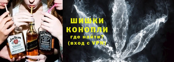 Альфа ПВП Пересвет
