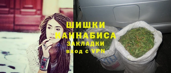 хмурый Пестово