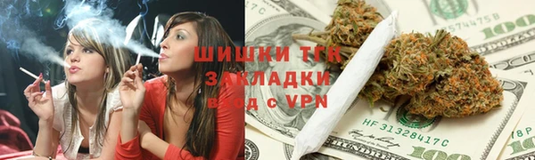 хмурый Пестово